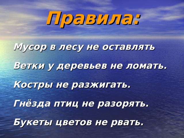 Правила: Мусор в лесу не оставлять Ветки у деревьев не ломать. Костры не разжигать. Гнёзда птиц не разорять. Букеты цветов не рвать. 