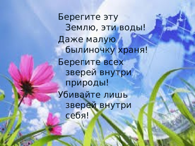 Берегите эту Землю, эти воды! Даже малую былиночку храня! Берегите всех зверей внутри природы! Убивайте лишь зверей внутри себя! 