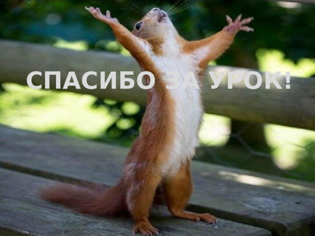 СПАСИБО ЗА УРОК! 