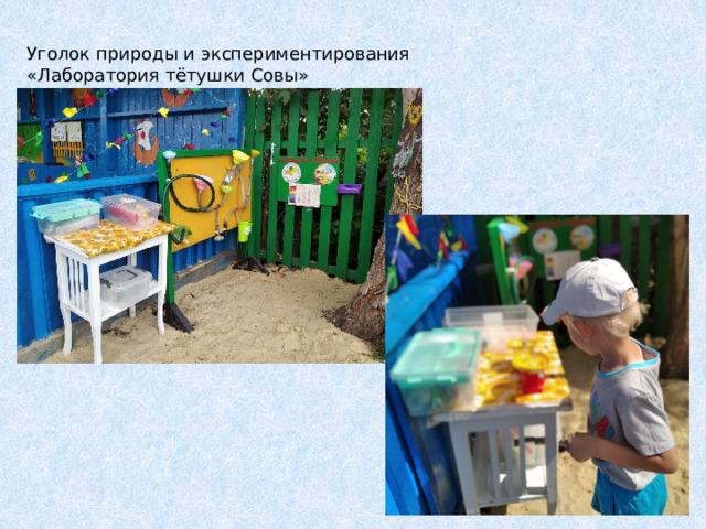 Уголок природы и экспериментирования «Лаборатория тётушки Совы» 