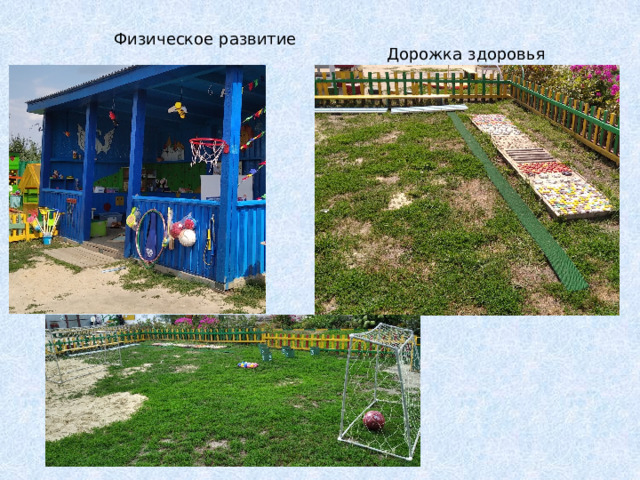 Физическое развитие Дорожка здоровья 