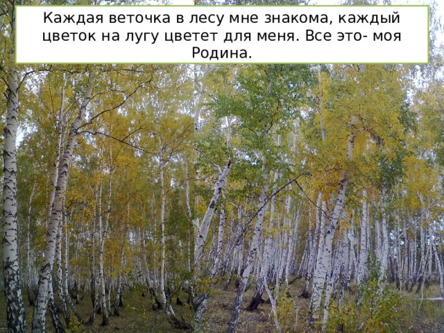 Каждая веточка в лесу мне знакома, каждый цветок на лугу цветет для меня. Все это- моя Родина. 