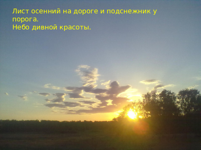 Лист осенний на дороге и подснежник у порога. Небо дивной красоты. 