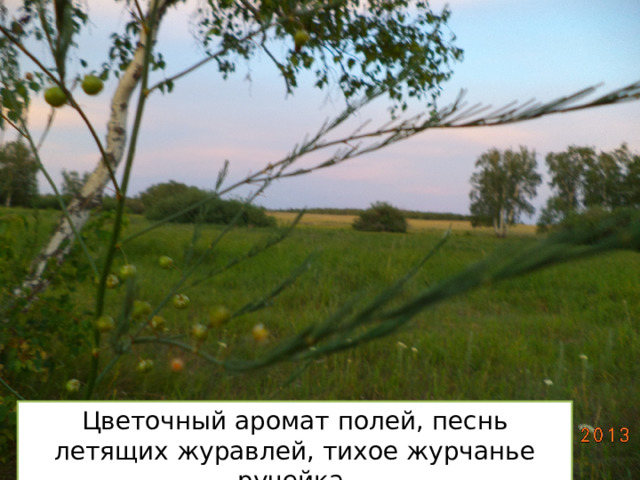 Цветочный аромат полей, песнь летящих журавлей, тихое журчанье ручейка. 