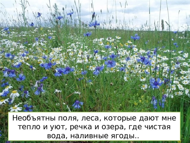 Необъятны поля, леса, которые дают мне тепло и уют, речка и озера, где чистая вода, наливные ягоды.. 