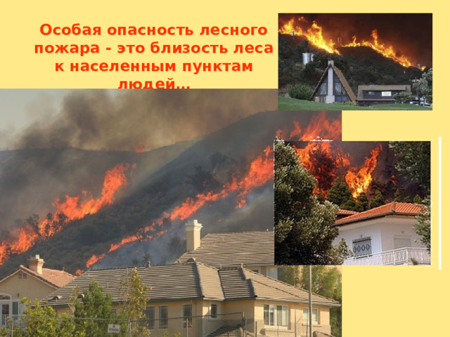 Особая опасность лесного пожара - это близость леса к населенным пунктам людей… 