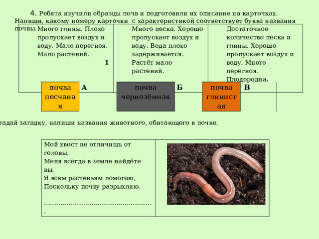 Презентация по теме "Почва".