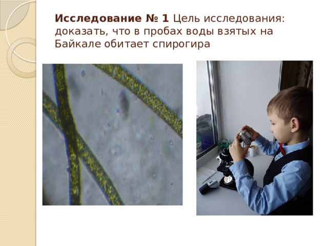 Исследование № 1 Цель исследования: доказать, что в пробах воды взятых  на Байкале обитает спирогира 