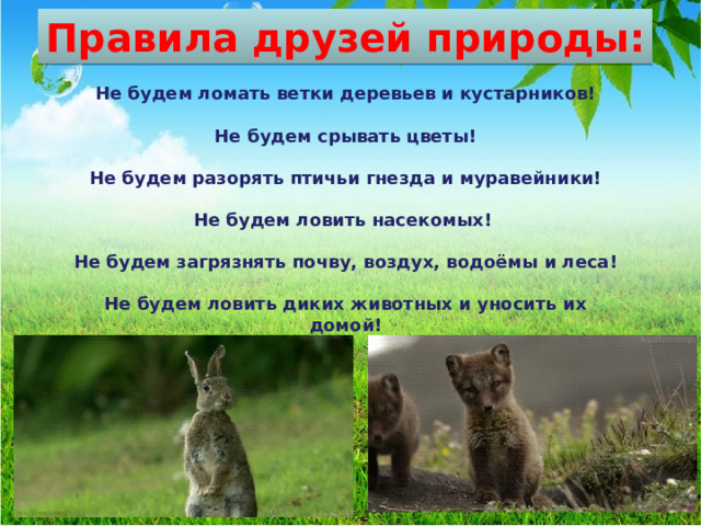 Правила друзей природы: Не будем ломать ветки деревьев и кустарников!  Не будем срывать цветы!  Не будем разорять птичьи гнезда и муравейники!  Не будем ловить насекомых!  Не будем загрязнять почву, воздух, водоёмы и леса!  Не будем ловить диких животных и уносить их домой!  