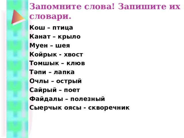 Запомните слова! Запишите их словари.   Кош – птица Канат – крыло Муен – шея Койрык - хвост Томшык – клюв Т әпи – лапка Очлы – острый Сайрый – поет Файдалы – полезный Сыерчык оясы - скворечник 