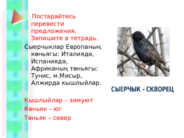  Постарайтесь перевести предложения. Запишите в тетрадь. Сыерчыклар Европаның көньягы: Италиядә, Испаниядә, Африканың төньягы: Тунис, м.Мисыр, Алжирда кышлыйлар. Кышлыйлар – зимуют Көн ьяк – юг Т өньяк – север 