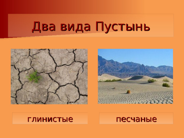Два вида Пустынь песчаные глинистые 