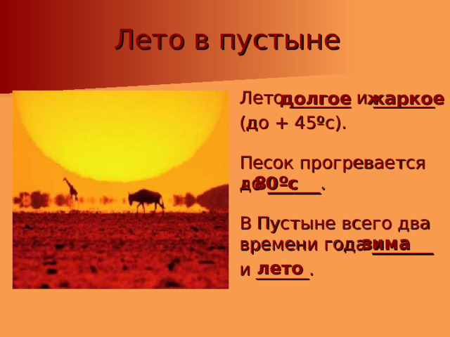 Лето в пустыне  Лето _______ и _______  (до + 45ºс).  Песок прогревается до ______.  В Пустыне всего два времени года _______  и ______. жаркое долгое + 80ºс зима лето 