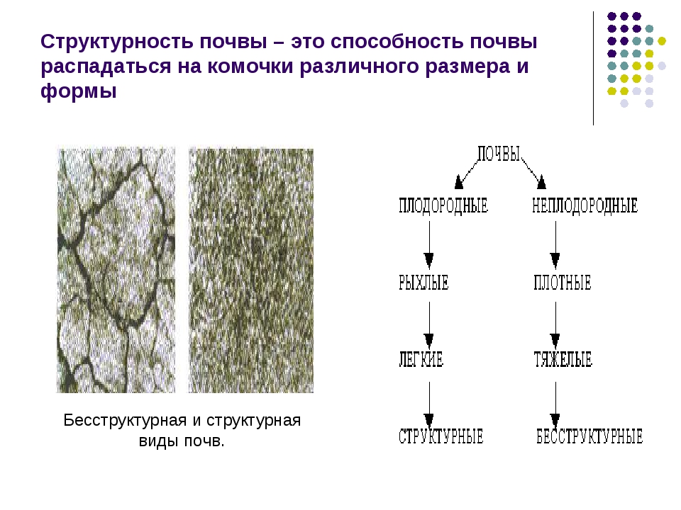 Различие почв схема