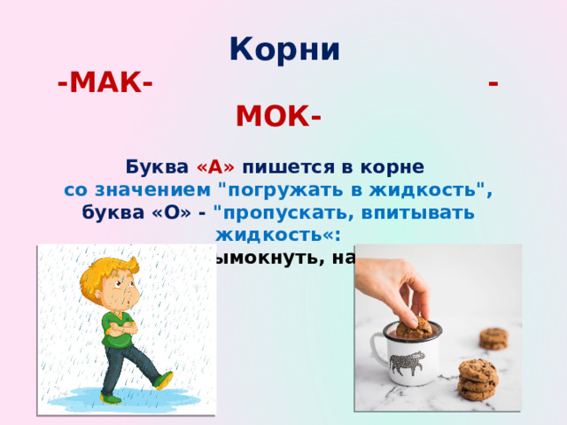 Корни мак мок