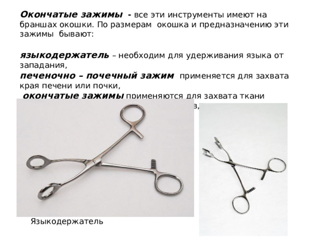 Окончатые зажимы  - все эти инструменты имеют на браншах окошки. По размерам окошка и предназначению эти зажимы бывают:  языкодержатель  – необходим для удерживания языка от западания, печеночно – почечный зажим  применяется для захвата края печени или почки,  окончатые зажимы  применяются для захвата ткани легкого, печени, геморроидальных узлов, полипов – их еще называют геморроидальными Языкодержатель 