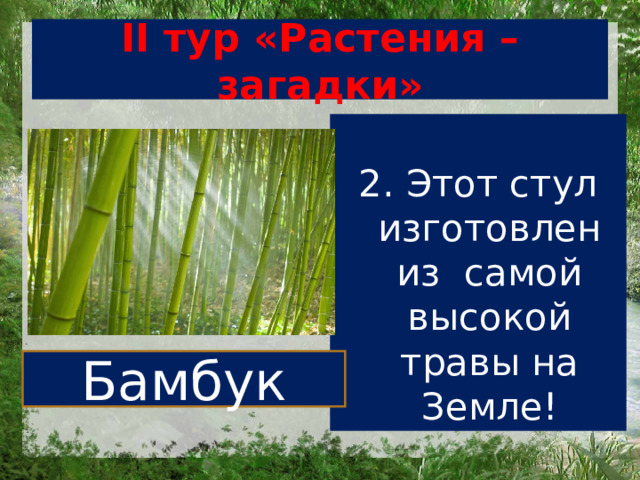 Презентация викторина по ботанике