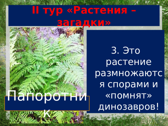 Презентация викторина по ботанике