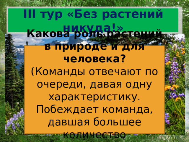 Презентация викторина по ботанике