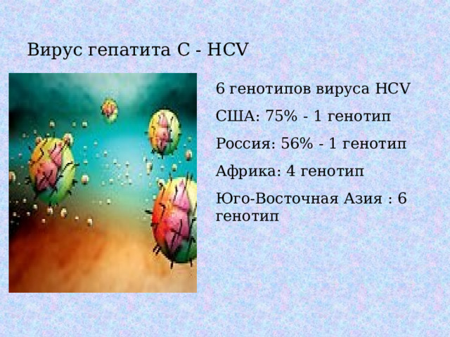 Вирус гепатита С - HCV 6 генотипов вируса HCV США: 75% - 1 генотип Россия: 56% - 1 генотип Африка: 4 генотип Юго-Восточная Азия : 6 генотип 