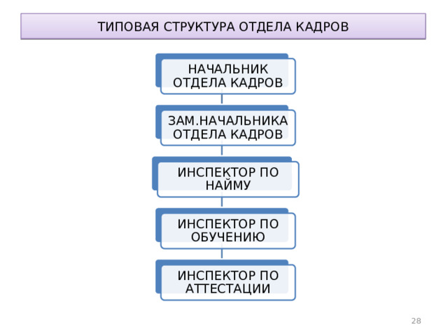ТИПОВАЯ СТРУКТУРА ОТДЕЛА КАДРОВ НАЧАЛЬНИК ОТДЕЛА КАДРОВ ЗАМ.НАЧАЛЬНИКА ОТДЕЛА КАДРОВ ИНСПЕКТОР ПО НАЙМУ ИНСПЕКТОР ПО ОБУЧЕНИЮ ИНСПЕКТОР ПО АТТЕСТАЦИИ 28 