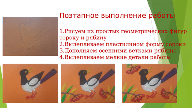 Две формы сорок