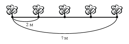 Определи с помощью рисунка и вычислений расстояние между двумя соседними деревьями 15 метров