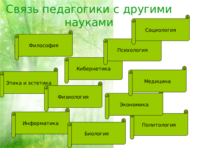 Связь педагогики с другими науками Социология Философия Психология Кибернетика Медицина Этика и эстетика Физиология Экономика Информатика Политология Биология 