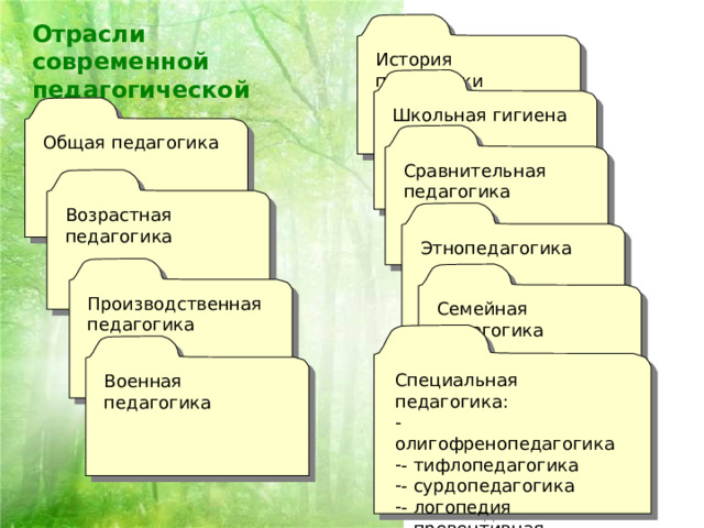 Отрасли современной педагогической науки: История педагогики Школьная гигиена Общая педагогика Сравнительная педагогика Возрастная педагогика Этнопедагогика Производственная педагогика Семейная педагогика Специальная педагогика:  олигофренопедагогика - тифлопедагогика - сурдопедагогика - логопедия - превентивная педагогика Военная педагогика 