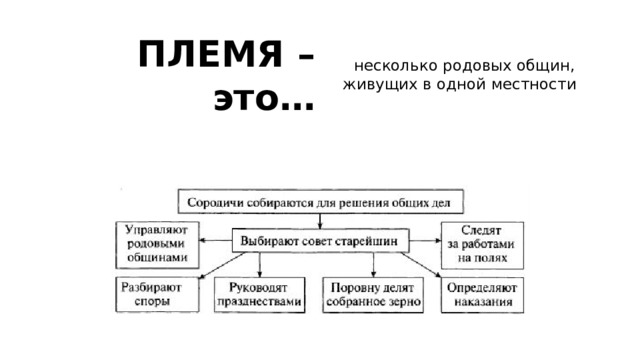 ПЛЕМЯ – это… несколько родовых общин, живущих в одной местности 