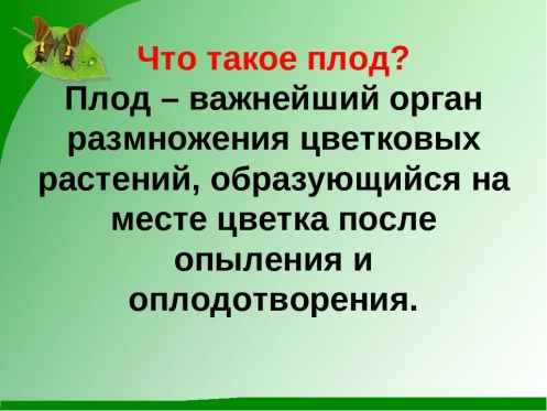 Плод определение. Плод определение биология. Что такое плод краткое определение. Плод это в биологии 6 класс определение.