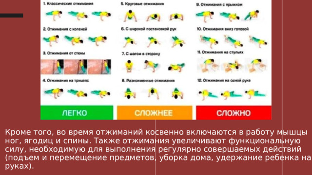 Польза отжимания на стульях