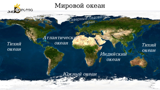 Мировой океан Северный Ледовитый океан Атлантический океан Тихий океан Тихий океан Индийский океан Южный океан 