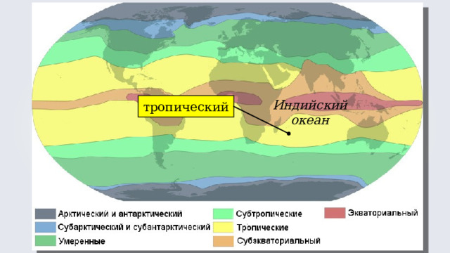 Индийский океан тропический 