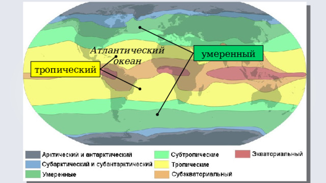 Атлантический океан умеренный тропический 