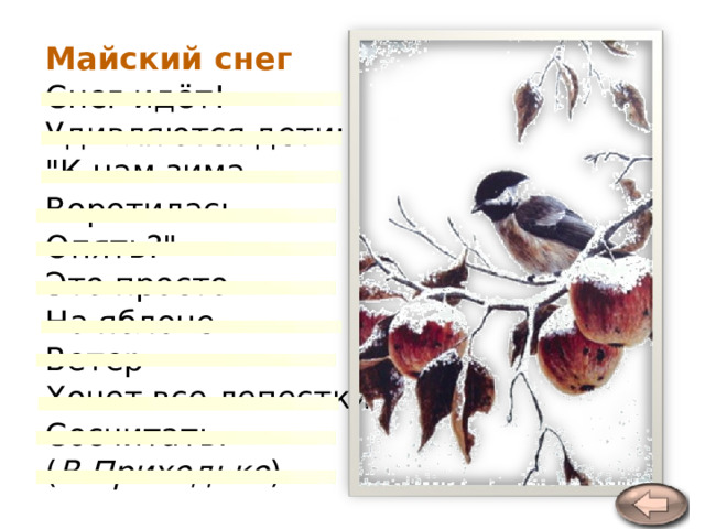 Майский снег Снег идёт!  Удивляются дети:  