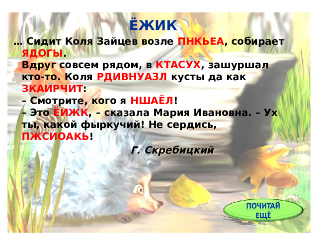  ЁЖИК … Сидит Коля Зайцев возле ПНКЬЕА , собирает ЯДОГЫ .  Вдруг совсем рядом, в КТАСУХ , зашуршал кто-то. Коля РДИВНУАЗЛ кусты да как ЗКАИРЧИТ :  – Смотрите, кого я НШАЁЛ !  – Это ЁИЖК , – сказала Мария Ивановна. – Ух ты, какой фыркучий! Не сердись, ПЖСИОАКЬ !   Г. Скребицкий 
