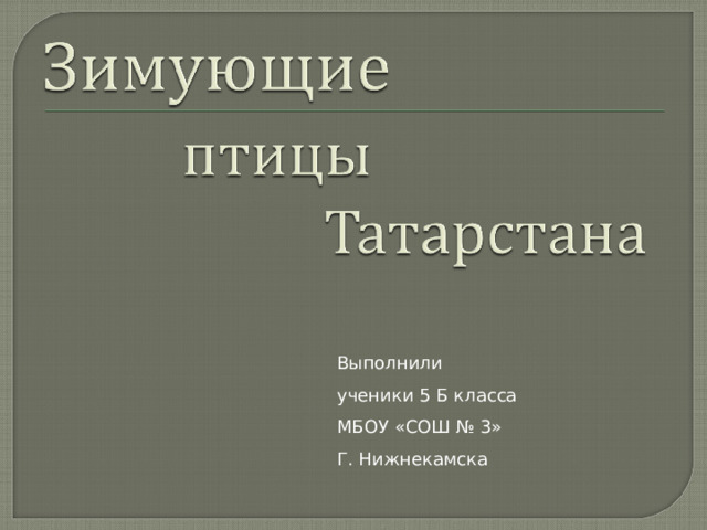 Выполнили ученики 5 Б класса МБОУ «СОШ № 3» Г. Нижнекамска 