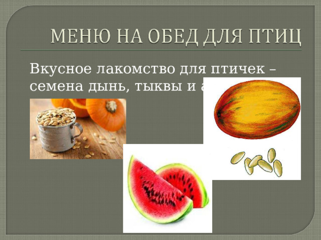 Вкусное лакомство для птичек – семена дынь, тыквы и арбуза 