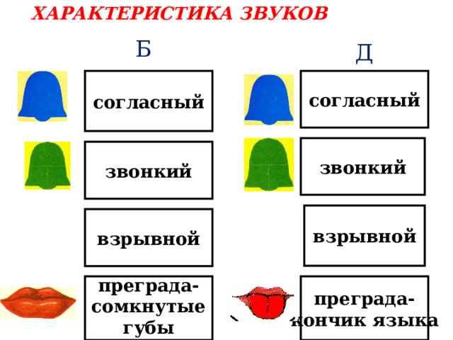  ХАРАКТЕРИСТИКА ЗВУКОВ    Б Д согласный согласный звонкий звонкий взрывной взрывной преграда-сомкнутые губы преграда- кончик языка 