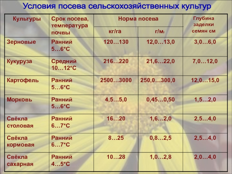 От чего зависит посев семян