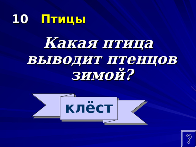 10  Птицы Какая птица выводит птенцов зимой? клёст 