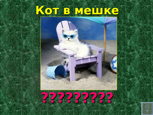 Кот в мешке ????????? 