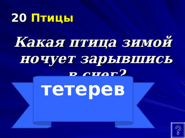 20 Птицы Какая птица зимой ночует зарывшись в снег? тетерев  