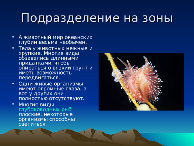 Подразделение на зоны А животный мир океанских глубин весьма необычен. Тела у животных нежные и хрупкие. Многие виды обзавелись длинными придатками, чтобы опираться о вязкий грунт и иметь возможность передвигаться. Одни живые организмы имеют огромные глаза, а вот у других они полностью отсутствуют. Многие виды глубоководных рыб плоские, некоторые организмы способны светиться.  