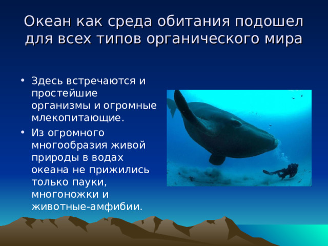 Океан как среда обитания подошел для всех типов органического мира Здесь встречаются и простейшие организмы и огромные млекопитающие. Из огромного многообразия живой природы в водах океана не прижились только пауки, многоножки и животные-амфибии. 