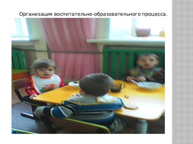 Организация воспитательно-образовательного процесса. 