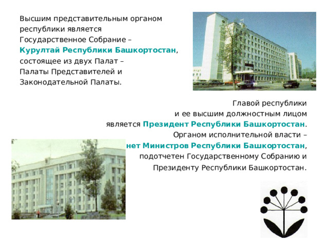 Высшим представительным органом республики является Государственное Собрание – Курултай Республики Башкортостан , состоящее из двух Палат – Палаты Представителей и Законодательной Палаты. Главой республики и ее высшим должностным лицом является Президент Республики Башкортостан . Органом исполнительной власти – Кабинет Министров Республики Башкортостан , подотчетен Государственному Собранию и Президенту Республики Башкортостан.  