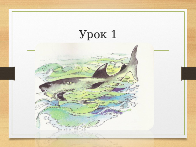 Толстой акула презентация 3 класс. Л Н толстой акула рисунок. Рисунки к рассказу акула л.н Толстого. Л Н толстой акула 3 класс рисунок. Акула толстой план 3 класс.