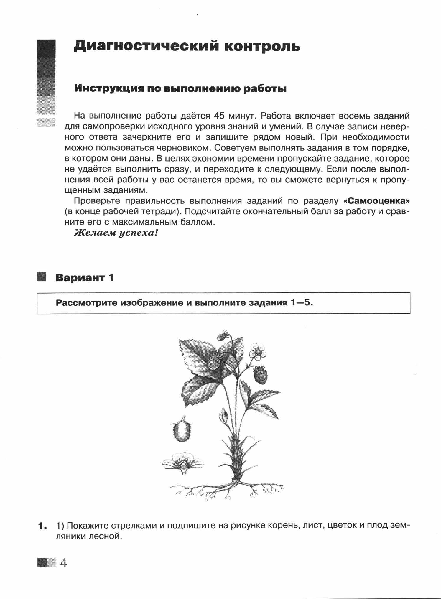 Рассмотрите изображение яблони и выполните задания